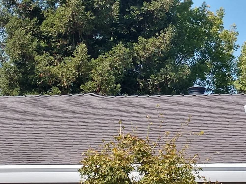 Gallery photos for Durable Shingle Roofs Installed Across Sacramento: Image #6